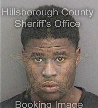 Irving Flores, - Hillsborough County, FL 