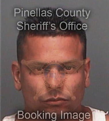 Alfredo Hernandez, - Pinellas County, FL 