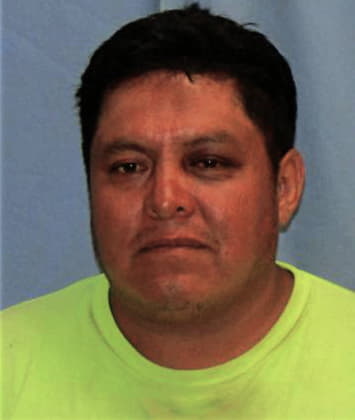 Hernandez Martinez, - Pulaski County, AR 