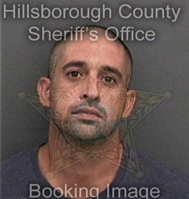 Timothy McCausland - Hillsborough County, FL 