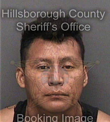 Jeffry Negronmunoz, - Hillsborough County, FL 