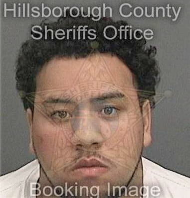 Zachery Robinson, - Hillsborough County, FL 