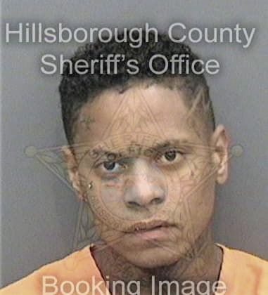 Josue Sanchez, - Hillsborough County, FL 