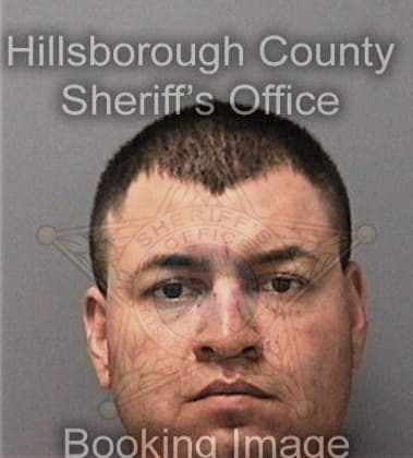 Christopher Tegreeny, - Hillsborough County, FL 