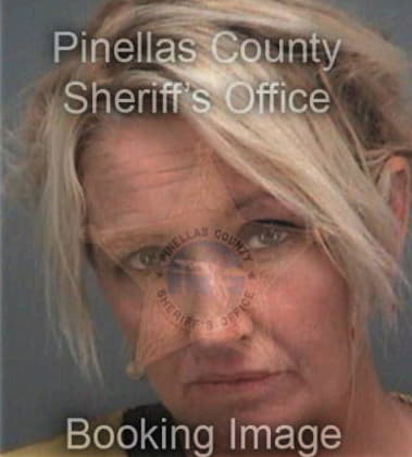 Nicole Audino, - Pinellas County, FL 