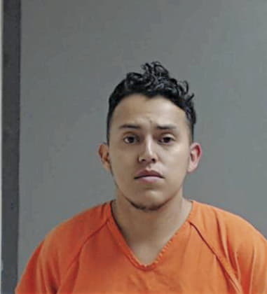 Guillermo Castillo, - Hidalgo County, TX 