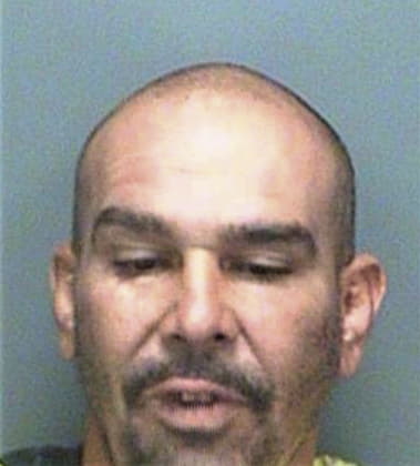 Joshua Correa, - Pinellas County, FL 