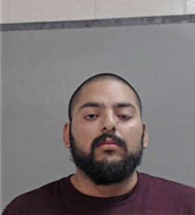 Virgilio-Delgado Gonzalez, - Hidalgo County, TX 