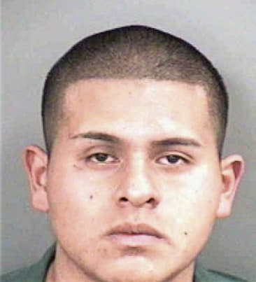 Cesar Hernandezsoto, - Collier County, FL 