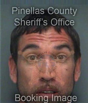 Gregory Lecointe, - Pinellas County, FL 