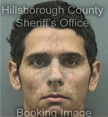 David Moralesrodriguez, - Hillsborough County, FL 