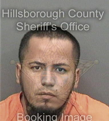 Mario Sanchezdomingo, - Hillsborough County, FL 