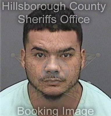 Ernesto Torrescarmenaty, - Hillsborough County, FL 