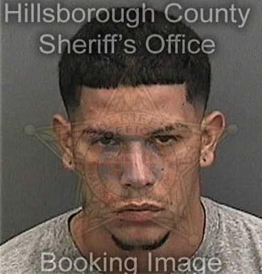 Evan Alicea, - Hillsborough County, FL 