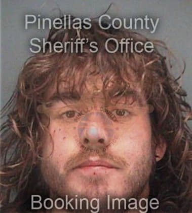 Christian Aristidou, - Pinellas County, FL 