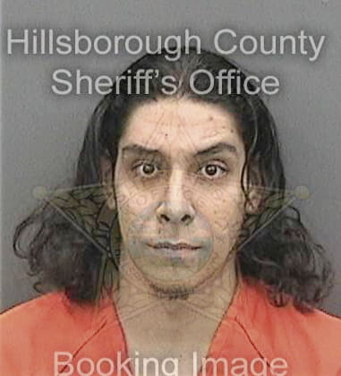 Nicholas Cooney, - Hillsborough County, FL 