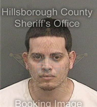 Richard Goldstein, - Hillsborough County, FL 