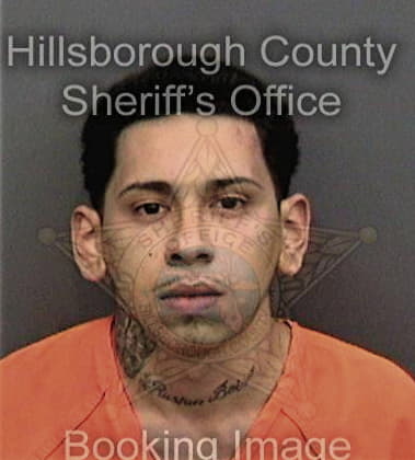 Victor Castro, - Hillsborough County, FL 