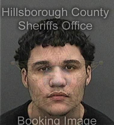 Esteban Garcia, - Hillsborough County, FL 