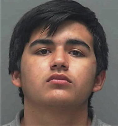 Roychell Hernandez, - Lee County, FL 