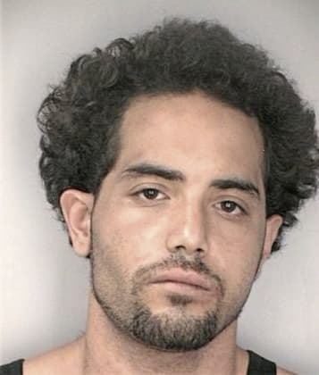 Vicinte Hernandez - Hillsborough County, FL 