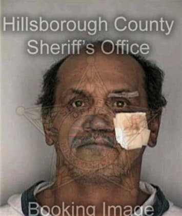 Leonardo Hernandezmartinez - Hillsborough County, FL 