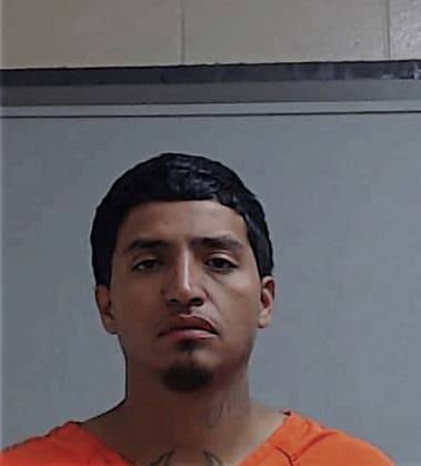 Michael Lanum, - Hidalgo County, TX 