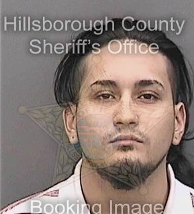 Manuel Mauriz - Hillsborough County, FL 