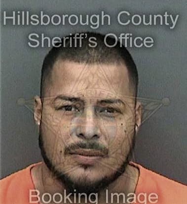 Sergio Ordonezperez, - Hillsborough County, FL 