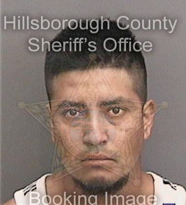 Bryan Sisk, - Hillsborough County, FL 