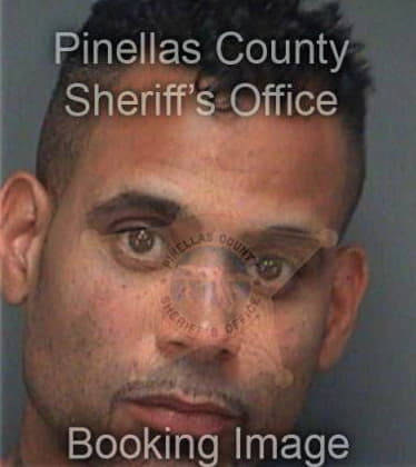 Byron Lopezdelgado, - Pinellas County, FL 