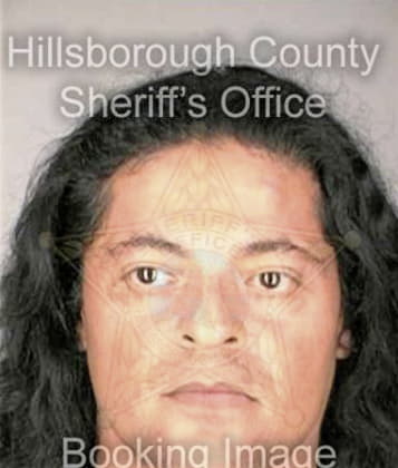 Anthony Santiago, - Hillsborough County, FL 