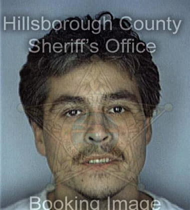Bradley Bollinger - Hillsborough County, FL 