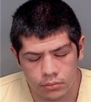 Erik Garciahernandez, - Pinellas County, FL 