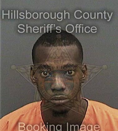 Ronald Golden, - Hillsborough County, FL 