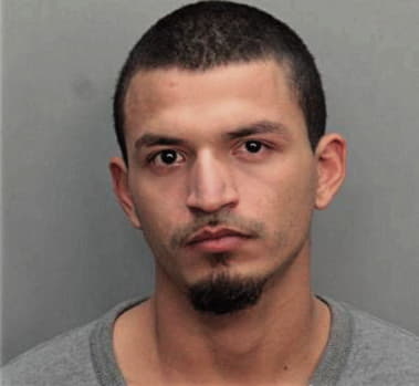 Yoandy Hechavarria, - Dade County, FL 