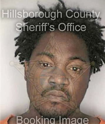Ronald McClendon - Hillsborough County, FL 