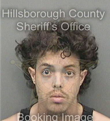 Bradley Nelson, - Hillsborough County, FL 