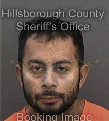 Luis Olmeda-Masso, - Hillsborough County, FL 