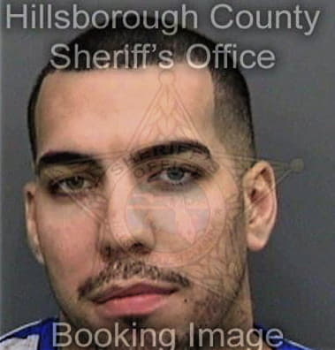 Paul Stavropoulos, - Hillsborough County, FL 