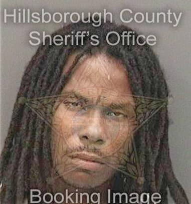 Reginald Levison, - Hillsborough County, FL 