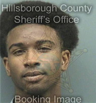 Theodore Lewis, - Hillsborough County, FL 