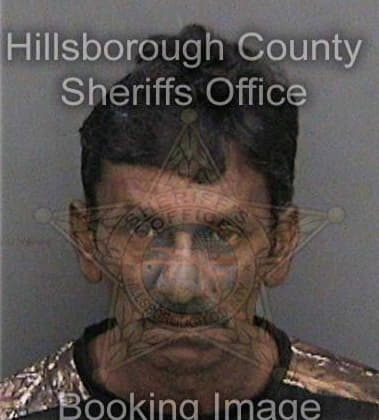 David Michel - Hillsborough County, FL 