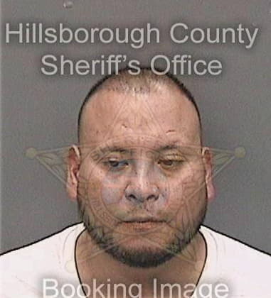 Gellert Nemeth, - Hillsborough County, FL 