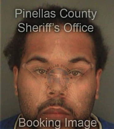 Niko Peralta, - Pinellas County, FL 