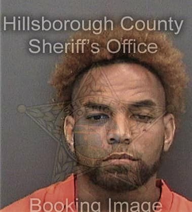 Patrick Davis, - Hillsborough County, FL 