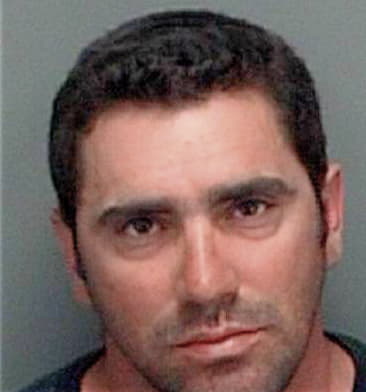 Julio Gutierrezdiaz, - Pinellas County, FL 