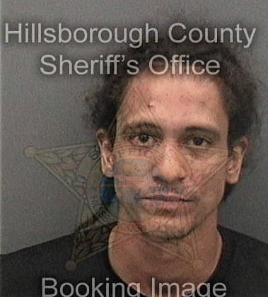 David Lovelace, - Hillsborough County, FL 