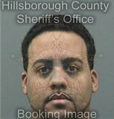 Daniel Mendoza - Hillsborough County, FL 