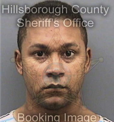 Raulio Velazcogomez, - Hillsborough County, FL 